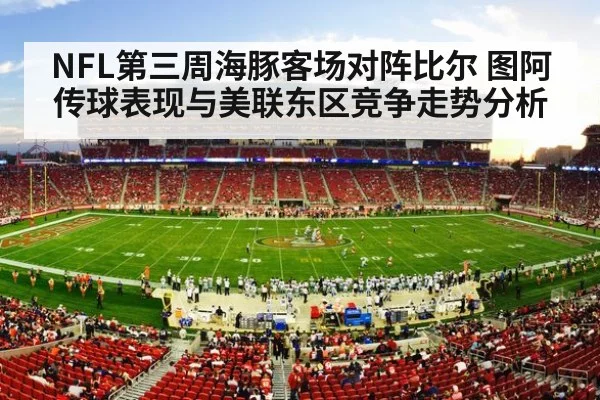american football stadium crowd