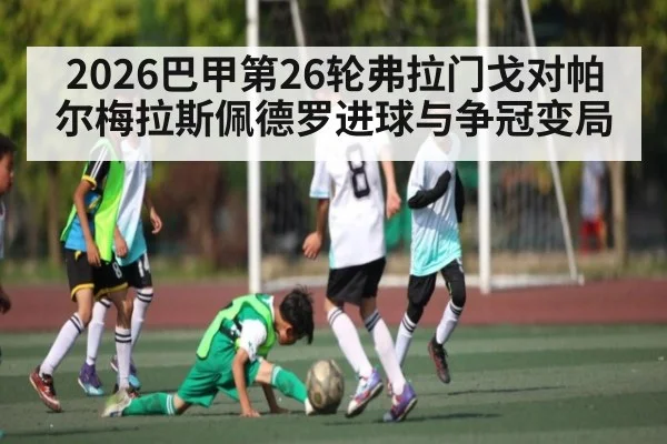 2026巴甲第26轮弗拉门戈对帕尔梅拉斯佩德罗进球与争冠变局